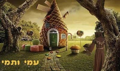 עמי ותמי poster1